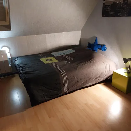 Bel 50 M2 Aux Portes De Strasbourg De 1 A 5 Personnes Chez Particuliers Avec 2 Sdb Coin Cuisine-repas Et Kitchinette Prix Negociable Pour 1 Personne